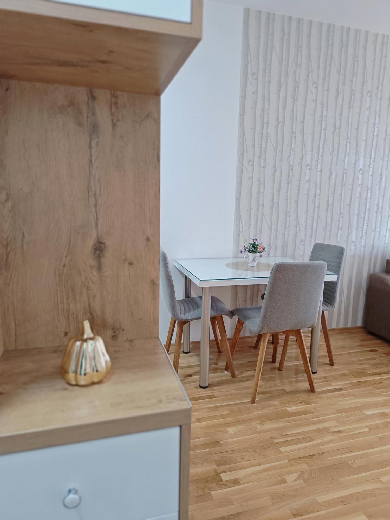 Zara Apartman Daire Bijeljina Dış mekan fotoğraf